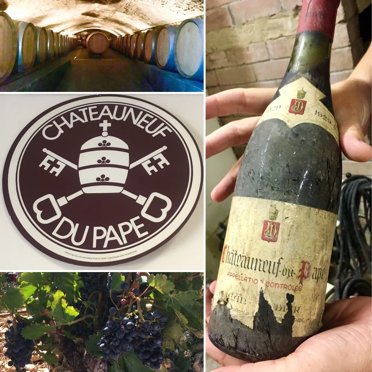 Provence and wine! A winning combination!